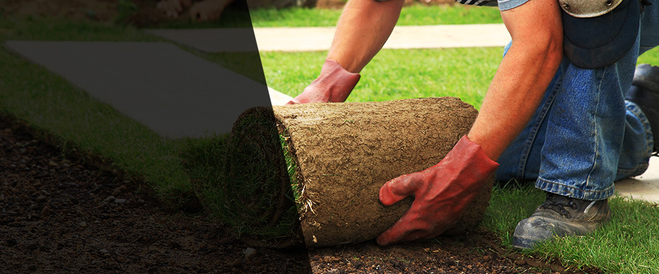 Tooele Landscapers